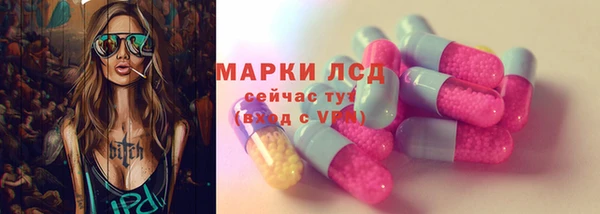spice Бородино