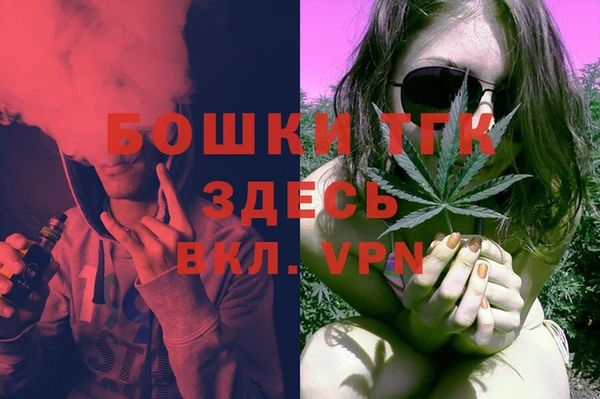 spice Бородино