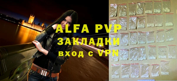 spice Бородино