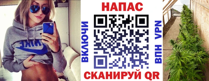 МАРИХУАНА White Widow  закладка  Яровое 